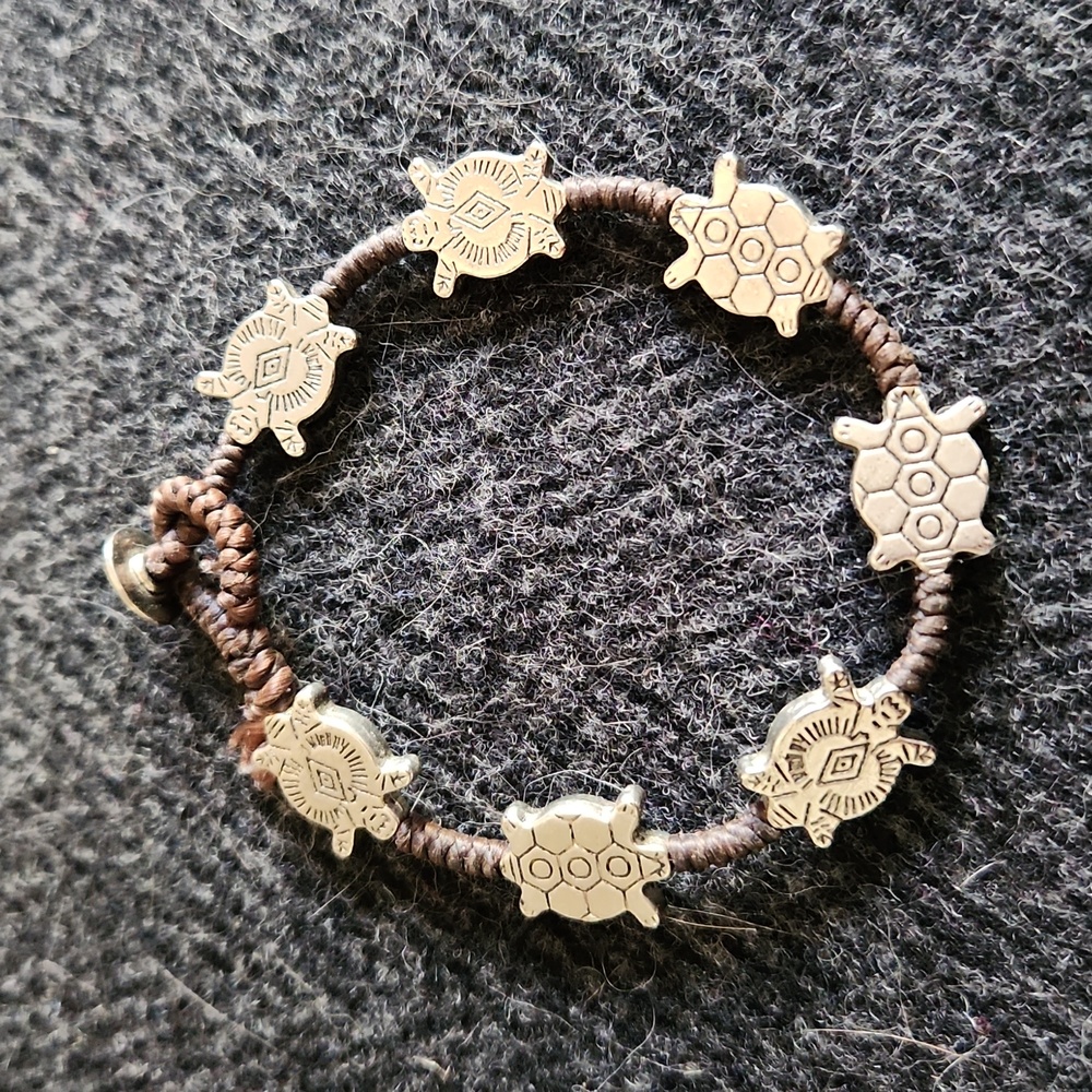 Silver Turtle Charm Bracelet